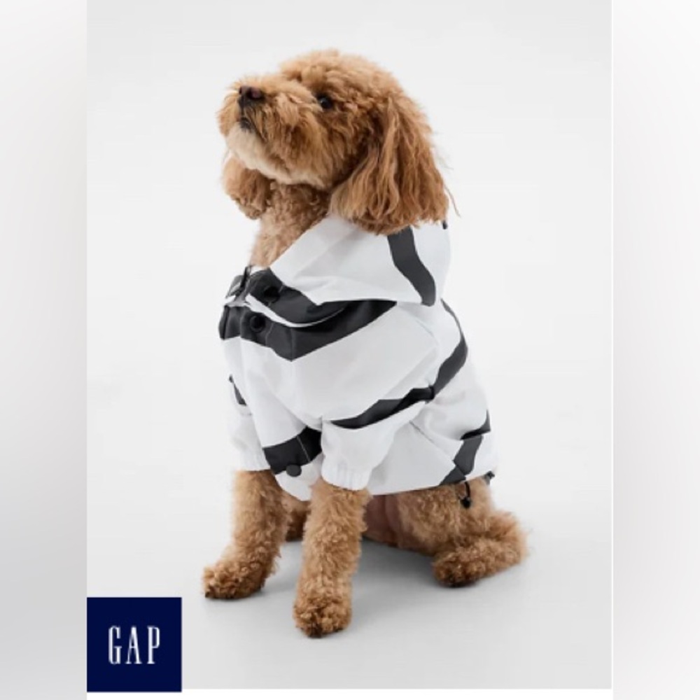Pet rain coat